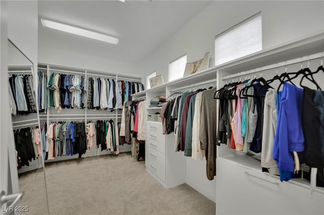 362 Port Reggio St, Las Vegas, NV 89138 - walk in closet with carpet flooring