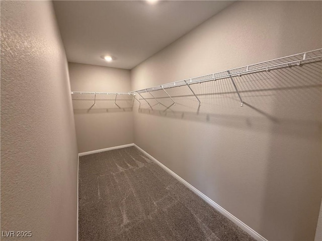 2620 Tolmezzo St, Henderson, NV 89044 - spacious closet featuring carpet floors
