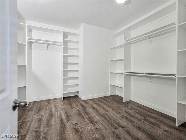 5500 Santovito St, Pahrump, NV 89061 - walk in closet featuring wood finished floors