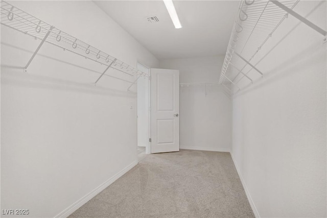 7255 Bold Rock Ave, Las Vegas, NV 89113 - walk in closet with carpet flooring