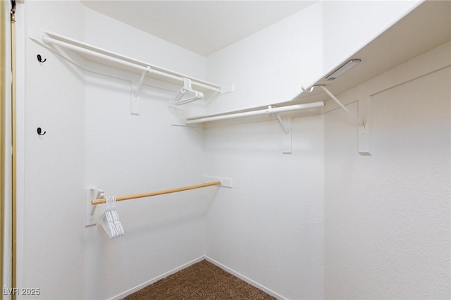 9817 Dardanelle Ct, Las Vegas, NV 89117 - spacious closet with carpet floors