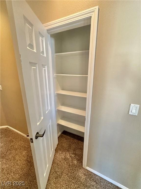 10455 Alpine Edge Ave, Las Vegas, NV 89129 - view of closet
