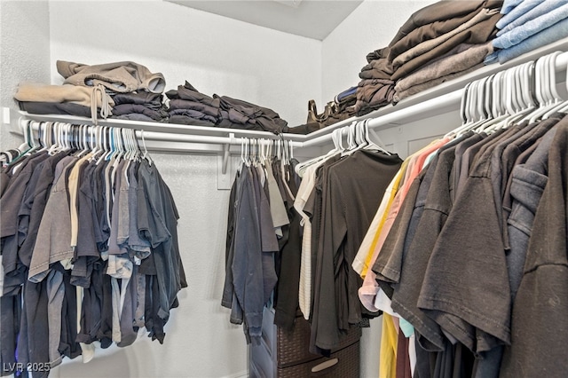 2606 S Durango Dr Unit 245, Las Vegas, NV 89117 - view of spacious closet