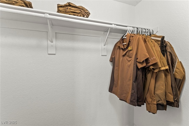 2606 S Durango Dr Unit 245, Las Vegas, NV 89117 - view of spacious closet