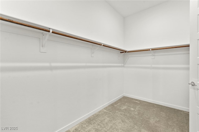 10906 Mila Landing Ave, Las Vegas, NV 89166 - spacious closet with light carpet