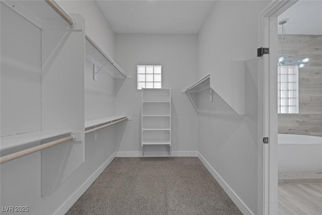 10113 Plomosa Pl, Las Vegas, NV 89134 - photo 39