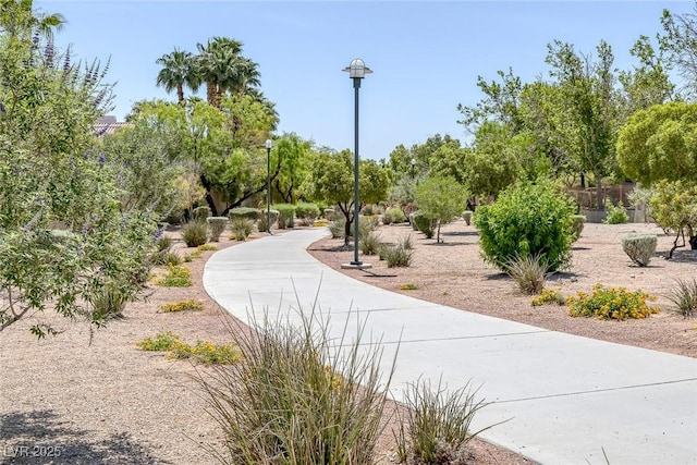 10113 Plomosa Pl, Las Vegas, NV 89134 - photo 66