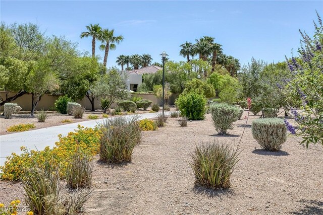 10113 Plomosa Pl, Las Vegas, NV 89134 - photo 67