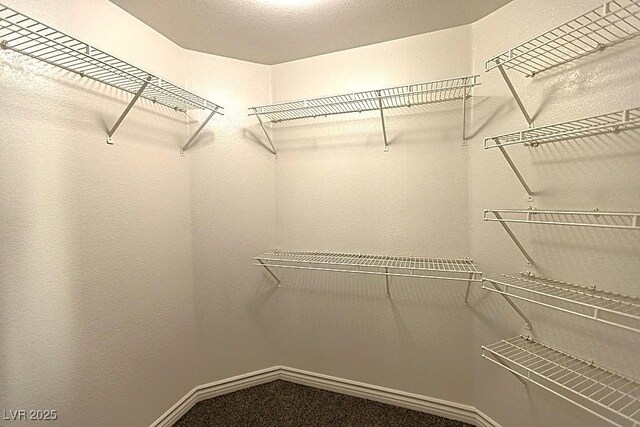 1721 Mill Canyon Dr, Las Vegas, NV 89128 - view of spacious closet