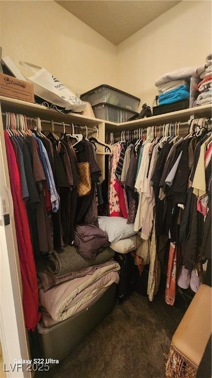 864 Chianti Way, Mesquite, NV 89027 - walk in closet featuring carpet flooring