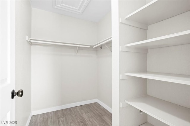 5191 Caliente St Unit 84, Las Vegas, NV 89119 - walk in closet featuring wood finished floors