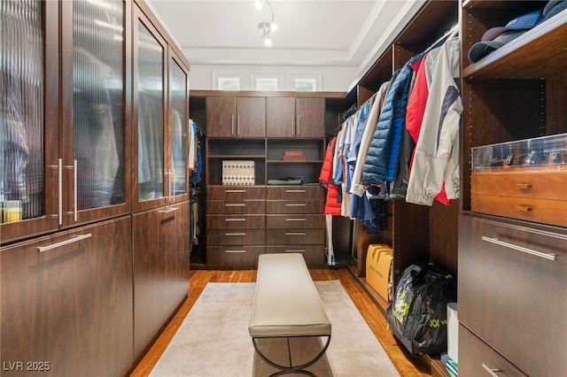 11 Misty Peaks Ct, Las Vegas, NV 89135 - walk in closet with light wood-style flooring