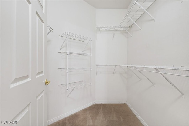 525 Indian Princess Dr Unit 101, Las Vegas, NV 89145 - photo 15