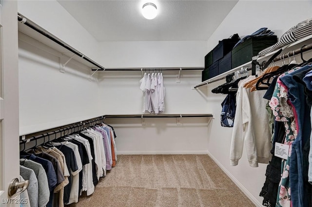 10024 Rams Leap Ave, Las Vegas, NV 89166 - photo 34