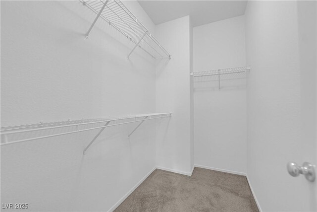 2633 Spider Cactus Ct, Las Vegas, NV 89106 - spacious closet featuring carpet