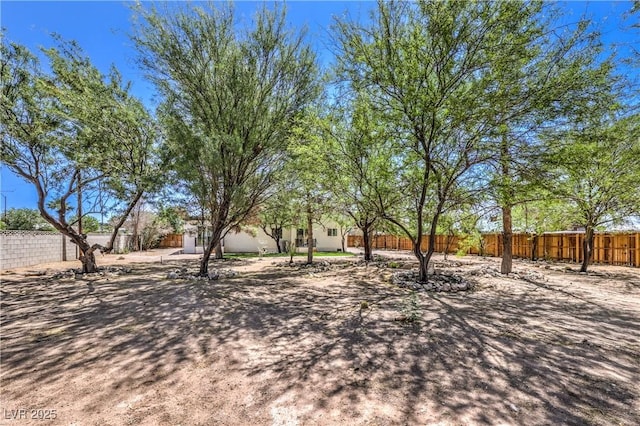 1731 Sherwin Ln, Las Vegas, NV 89156 - view of fenced backyard