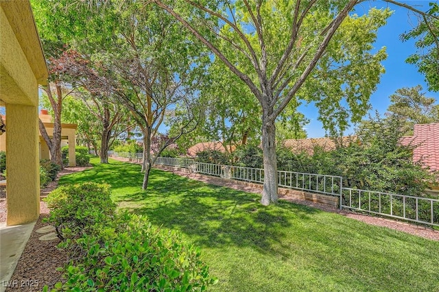 9024 Starmount Dr, Las Vegas, NV 89134 - view of yard