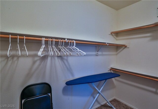 4655 Gold Dust Ave Unit 206, Las Vegas, NV 89120 - walk in closet featuring carpet