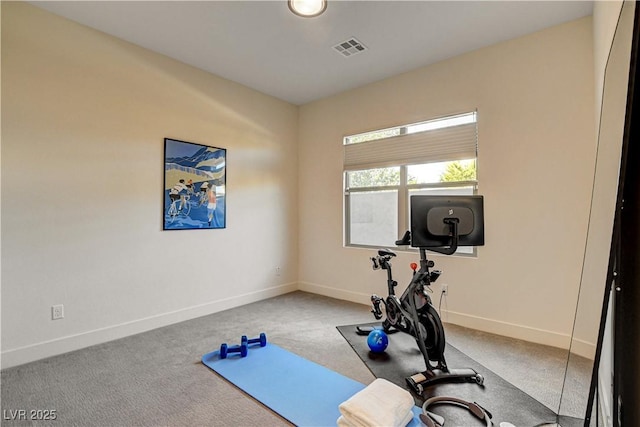 10228 Shell Star Ave, Las Vegas, NV 89135 - workout room with carpet floors and baseboards
