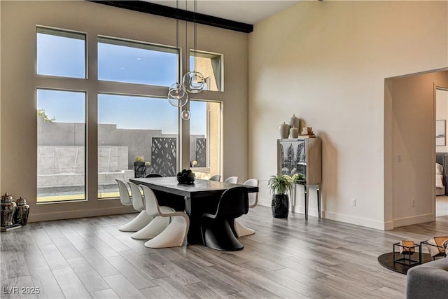 10228 Shell Star Ave, Las Vegas, NV 89135 - dining room with wood finished floors, healthy amount of natural light, baseboards, and a high ceiling