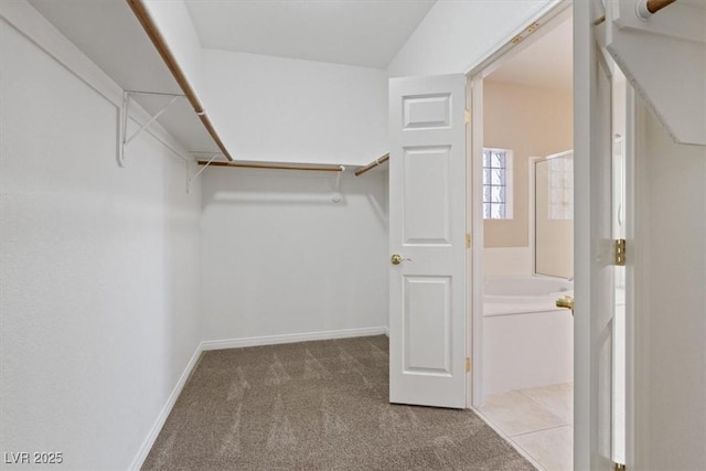 1008 New Creek Ave, Henderson, NV 89015 - spacious closet with carpet flooring