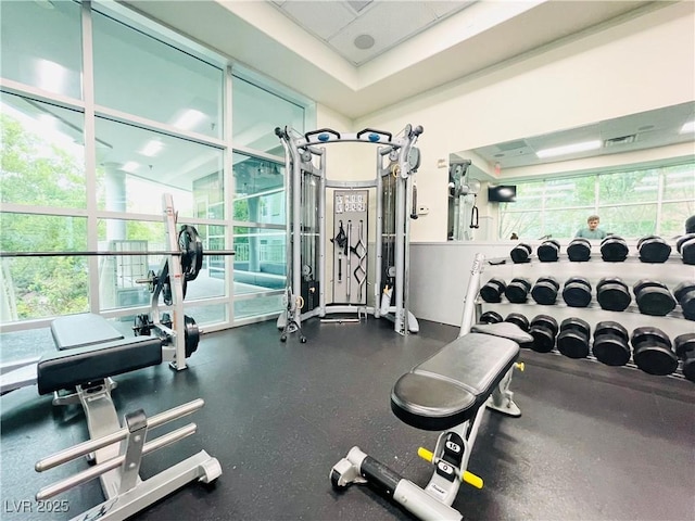 62 E Serene Ave Unit 115, Las Vegas, NV 89123 - view of workout area