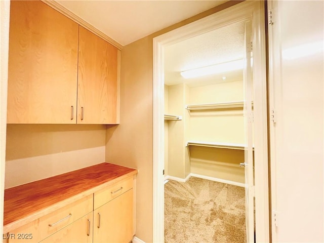 62 E Serene Ave Unit 115, Las Vegas, NV 89123 - spacious closet with carpet floors