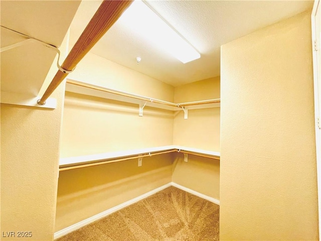 62 E Serene Ave Unit 115, Las Vegas, NV 89123 - spacious closet featuring carpet flooring