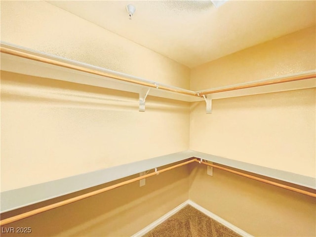 62 E Serene Ave Unit 115, Las Vegas, NV 89123 - spacious closet with carpet flooring