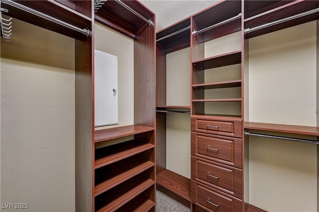 7637 Good Fortune Ct, Las Vegas, NV 89139 - walk in closet featuring carpet flooring