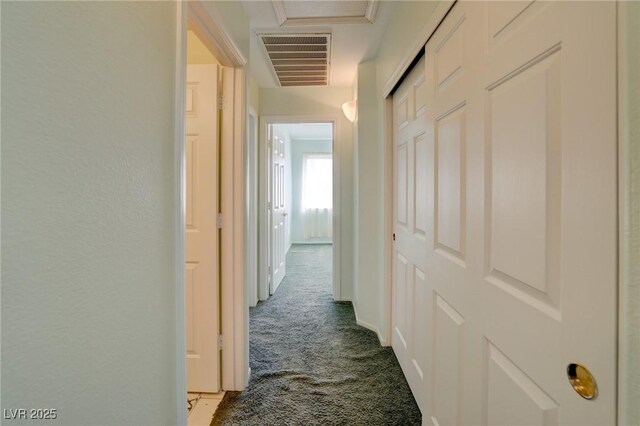 602 Painted Cloud Pl, Las Vegas, NV 89144 - hallway with carpet flooring