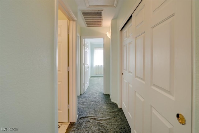 602 Painted Cloud Pl, Las Vegas, NV 89144 - hallway with carpet floors