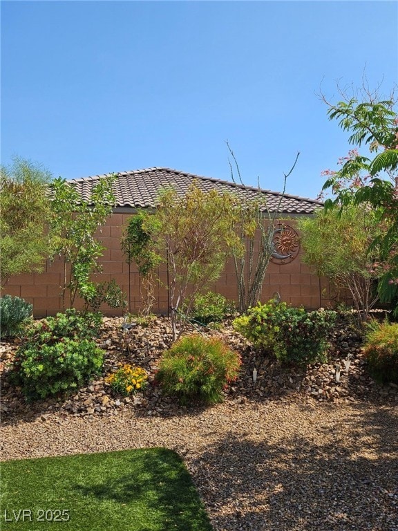 759 Star Apple Ln, Las Vegas, NV 89178 - view of yard
