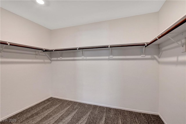 4 Lomita Heights Dr, Las Vegas, NV 89138 - spacious closet featuring carpet floors