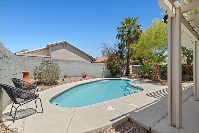 1906 Desert Sage Ave, North Las Vegas, NV 89031 - view of pool featuring a fenced backyard and a patio