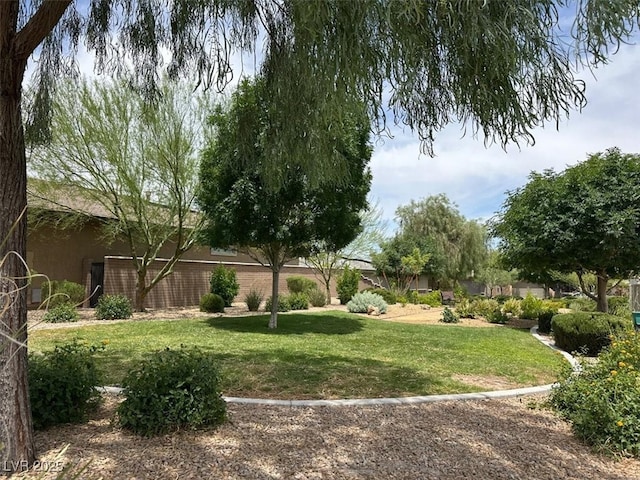 676 Otter Brook St, Henderson, NV 89011 - view of green lawn