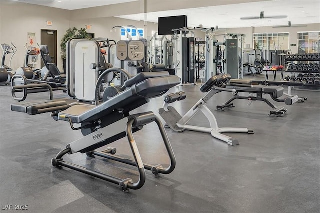 676 Otter Brook St, Henderson, NV 89011 - gym with ceiling fan