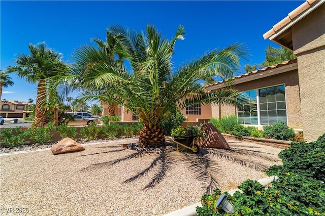 906 Sitting Bull Dr, Henderson, NV 89014 - photo 6