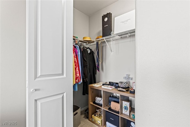 8255 Las Vegas Blvd Unit 1219, Las Vegas, NV 89123 - walk in closet with carpet