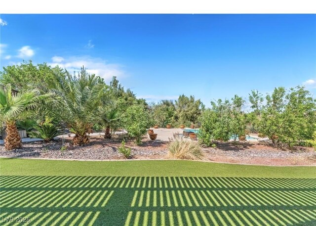 3330 Wedo Way N, Las Vegas, NV 89031 - photo 28