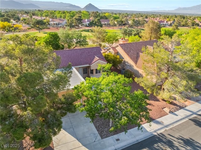 2505 Showcase Dr, Las Vegas, NV 89134 - photo 29