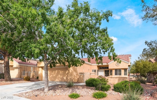 2505 Showcase Dr, Las Vegas, NV 89134 - photo 1