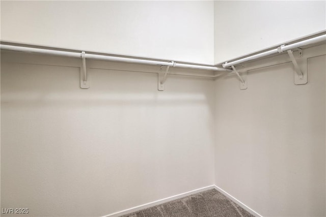 202 Twin Creek St, Henderson, NV 89074 - walk in closet featuring carpet