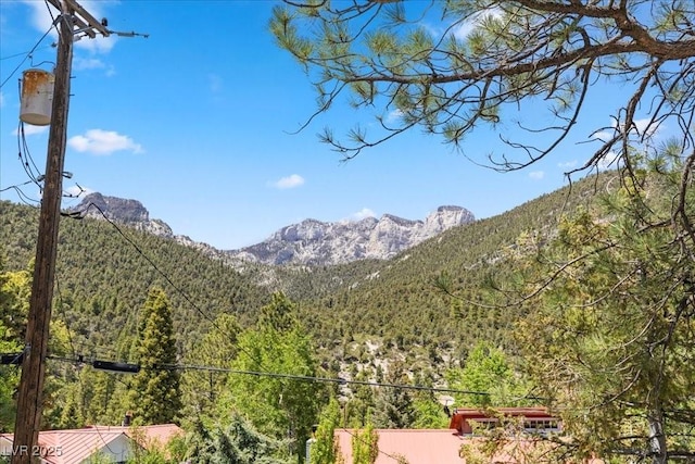 3971 Arlberg Way, Mount Charleston, NV 89124 - view of mountain background with a heavily wooded area