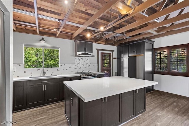 3971 Arlberg Way, Mount Charleston, NV 89124 - kitchen featuring stainless steel range oven, a sink, light wood-style flooring, backsplash, and light countertops