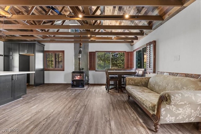 3971 Arlberg Way, Mount Charleston, NV 89124 - sunroom featuring a wood stove