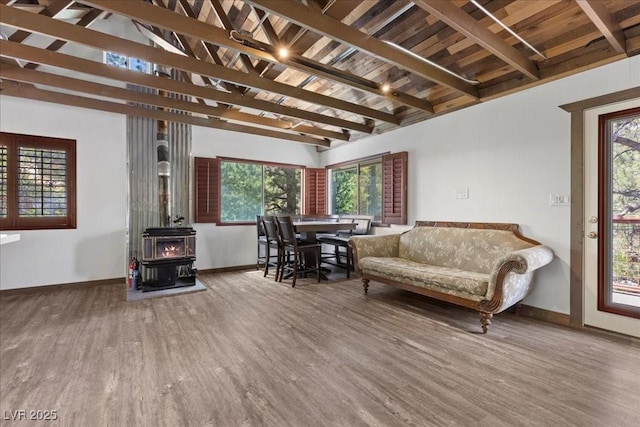 3971 Arlberg Way, Mount Charleston, NV 89124 - sunroom with a wood stove and plenty of natural light