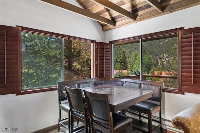 3971 Arlberg Way, Mount Charleston, NV 89124 - view of sunroom