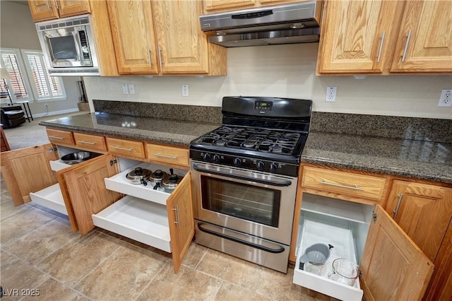 1361 Moose St, Pahrump, NV 89048 - kitchen featuring stainless steel appliances, under cabinet range hood, and dark stone countertops