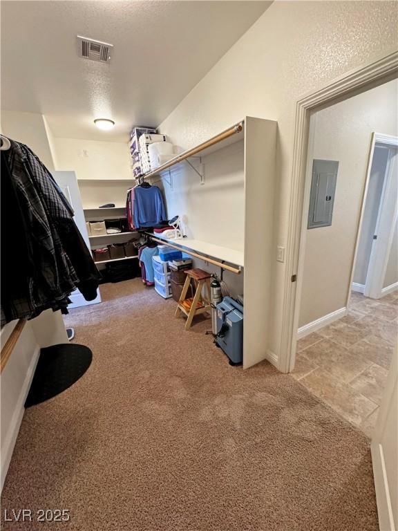 1361 Moose St, Pahrump, NV 89048 - walk in closet with electric panel and light colored carpet